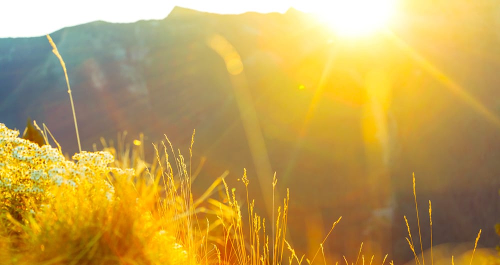 Los especialistas recomiendan a pacientes oncológicos mantener unos niveles óptimos de Vitamina D